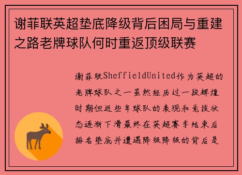 谢菲联英超垫底降级背后困局与重建之路老牌球队何时重返顶级联赛 谢菲联英超垫底降级背后困局与重建之路老牌球队何时重返顶级联赛
